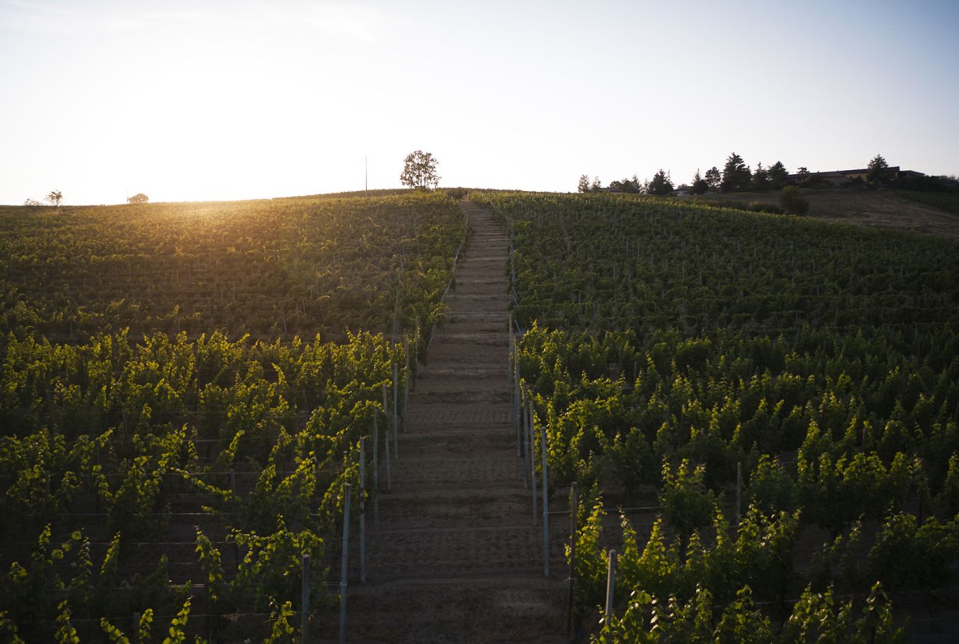 Le Marne | Relais a Mura Mura