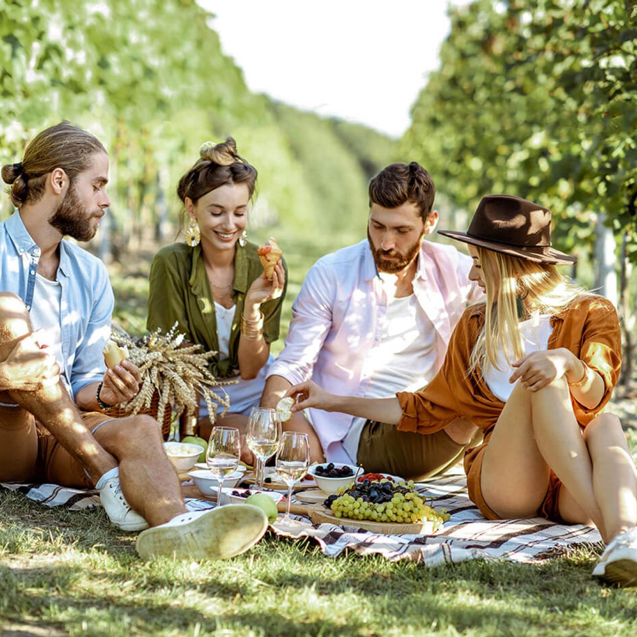 Picnic among the green hills