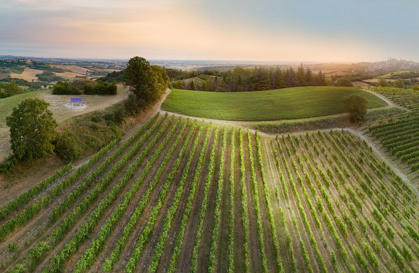 An exclusive experience between Monferrato and Langhe