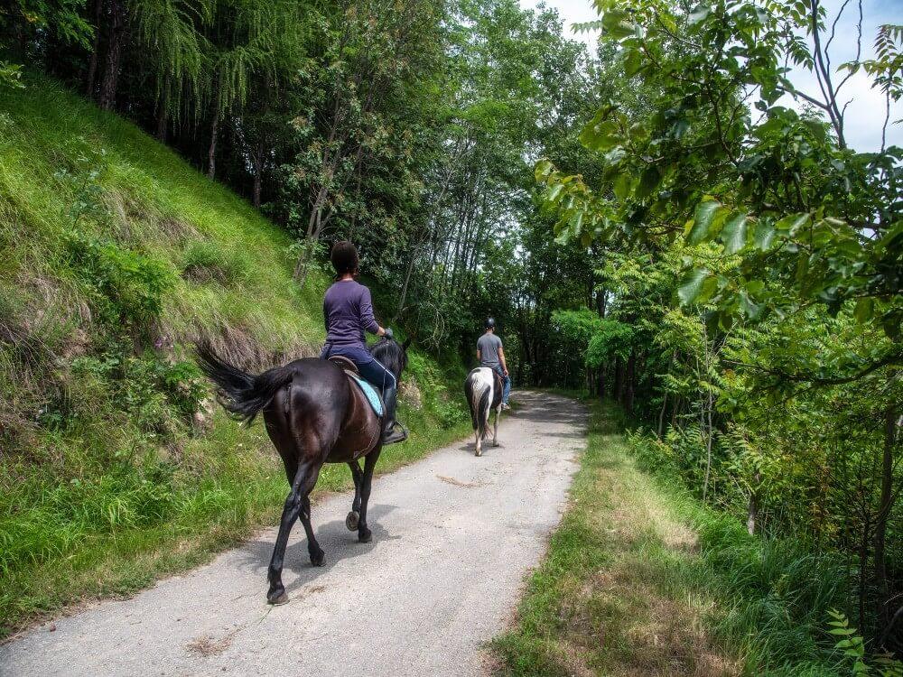On horseback in the upper Langa... with taste