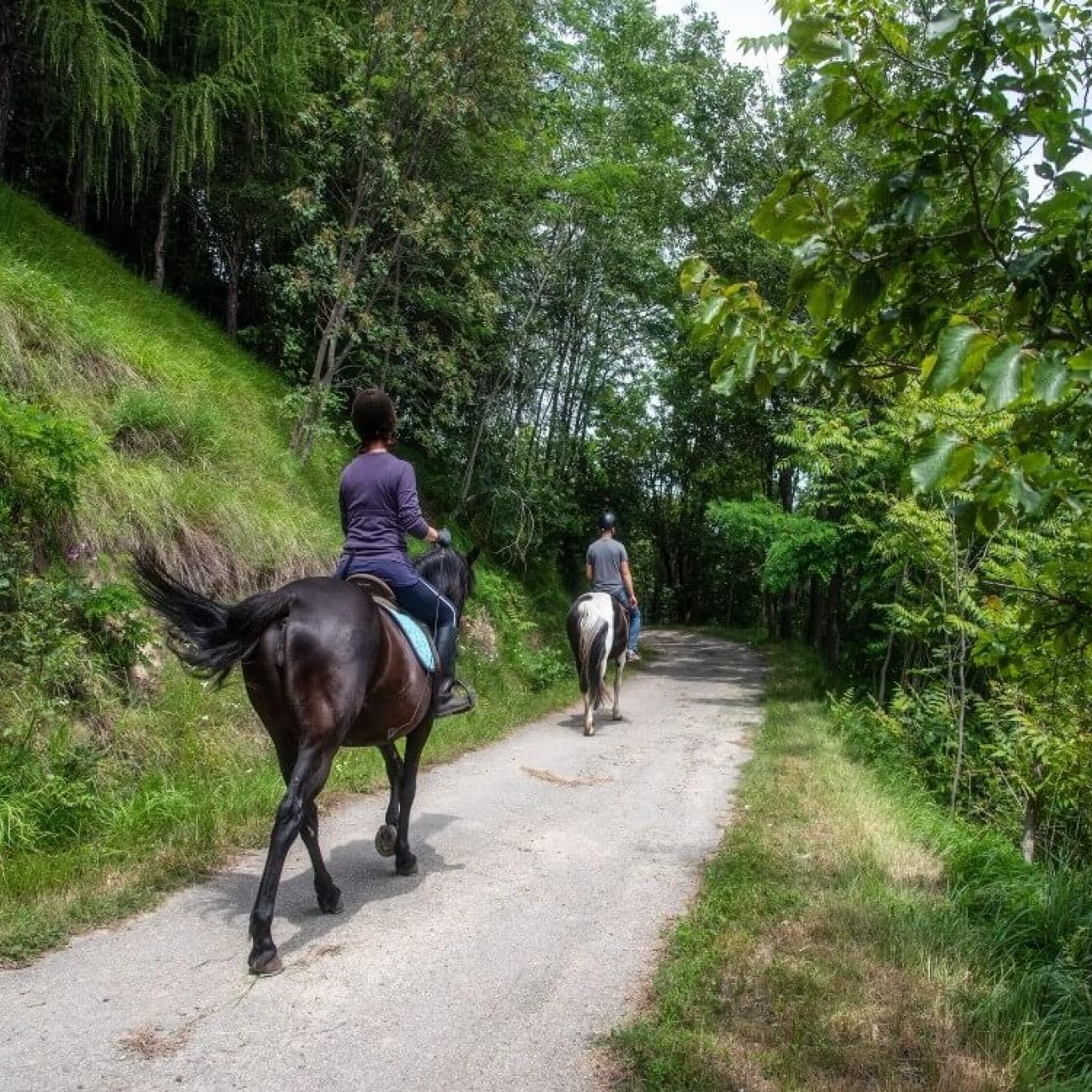 On horseback in the upper Langa... with taste